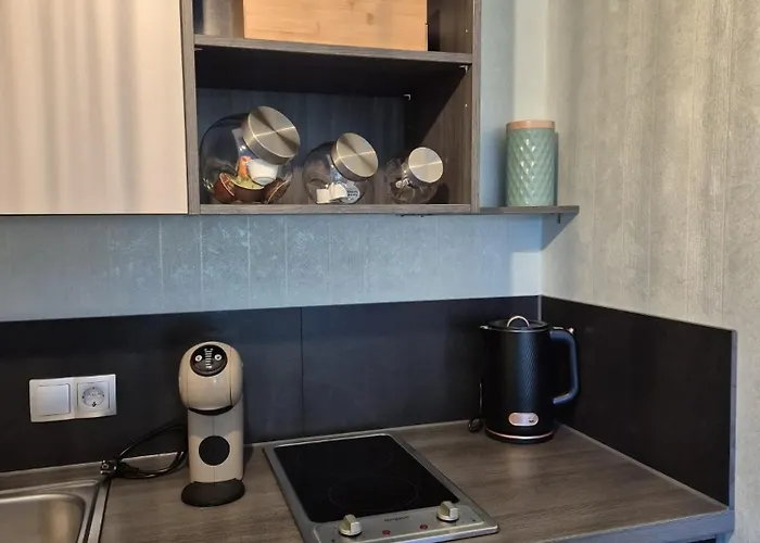 Studio Apartment Lejlighed